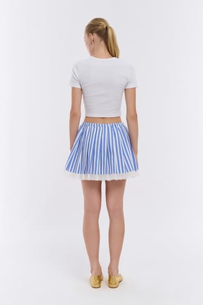 Embroidered Detail Pleated Skirt Blue